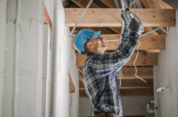Best Electric Panel Repair  in Ironton, MO